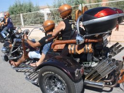 XVII Concentracion - 2010